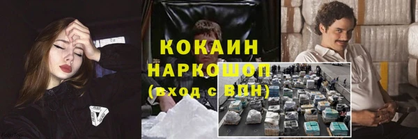 бошки Семилуки